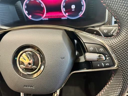 Škoda Kodiaq 2.0 TSi 180 Kw DSG RS